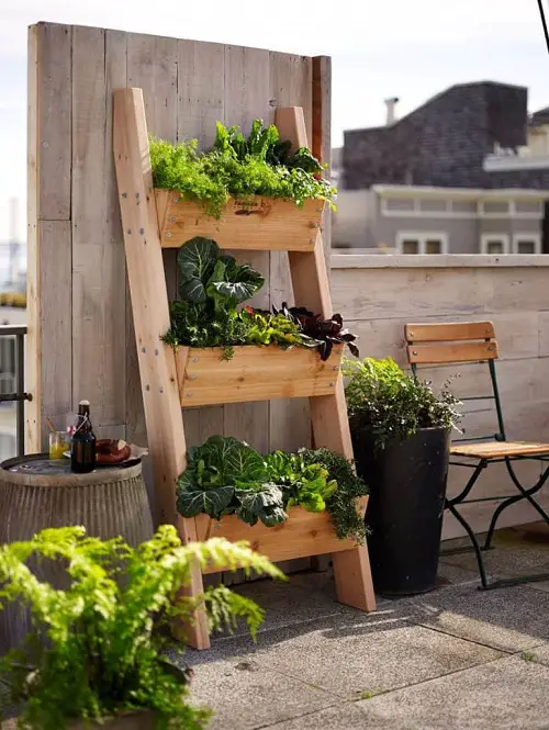 Ladder Herb balcony Garden