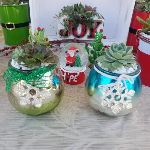 christmas succulent centerpiece ideas 5