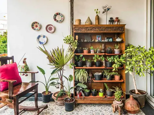 A Shelf in the Corner with Potted Plants
