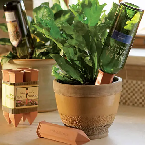 Try Plant Watering Spikes