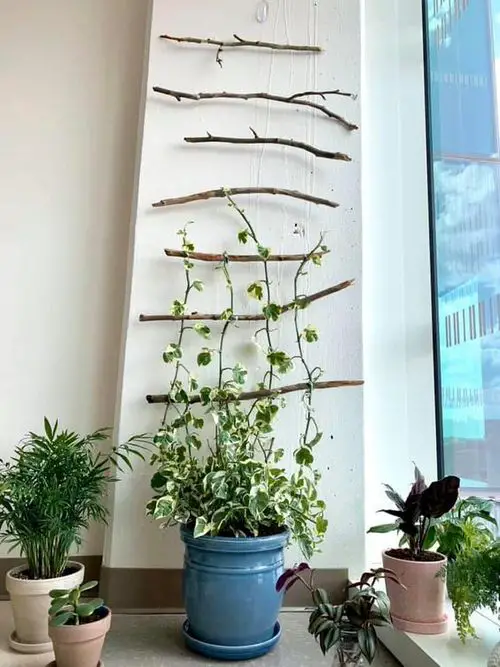 Wooden Branches on Wall