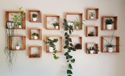 Wooden Frames for Vining Plants