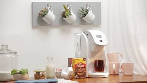 Hanging Wall Planters from Coffee Cups