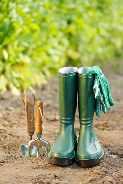 Deodorize Gardening Boots