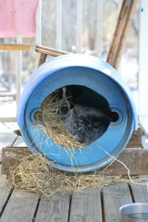 DIY Barrel Dog House