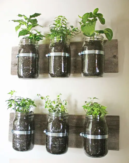 Easy Indoor Vertical Planter Projects Mason Jar Wall Planter