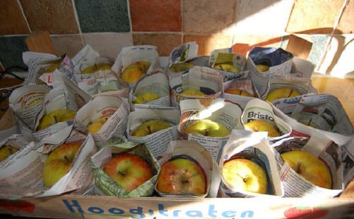 Newspapers to Ripen Fruits
