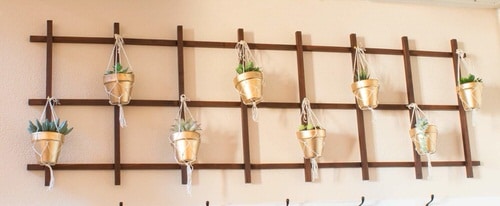 Super Easy Indoor Trellis Garden