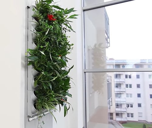 A Green Wall
