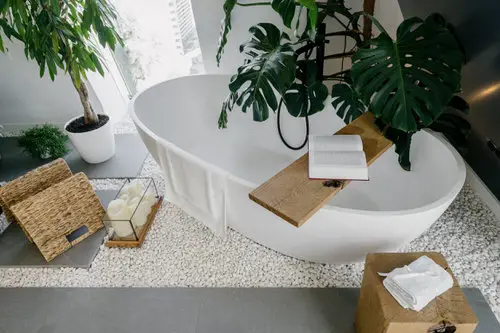 Monstera Looming Above a Tub