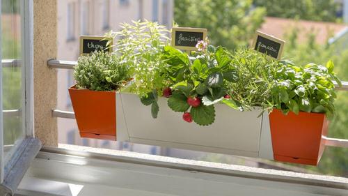 Different Potted Herbs on a Hanging Railing Planter