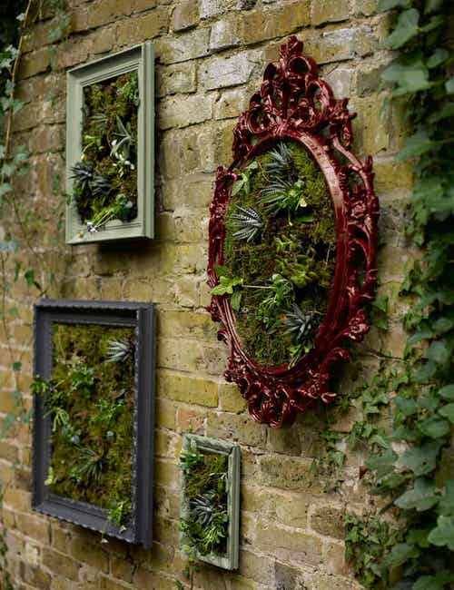 Mirror Frame in the Garden