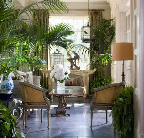 Lush Tropical Indoor Garden