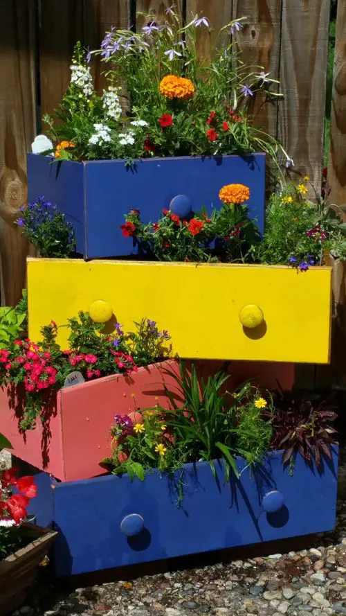 Colorful Drawer Planter