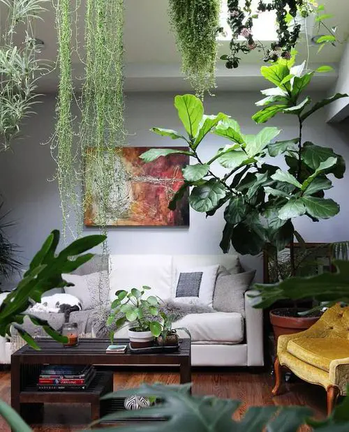 Living Room with Trailing and Large Foliage Plants