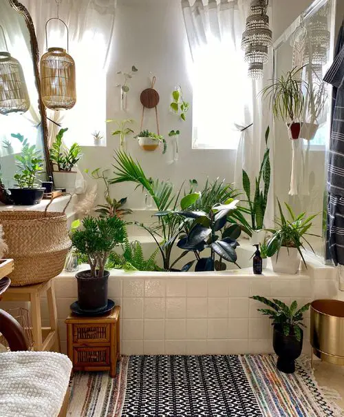 Plants in a Tub