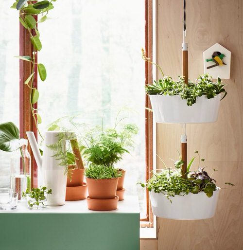 In an IKEA Hanging Stand