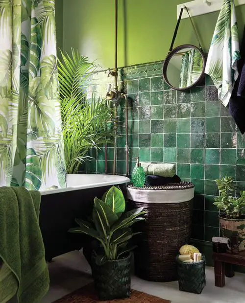 Hanging Round Mirror, Tub, and Plants