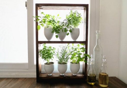 Make a Herb Garden from Kitchen Recyclables