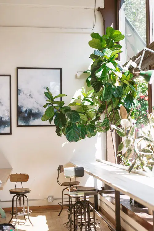 Cozy Coffee Spot in Home 07