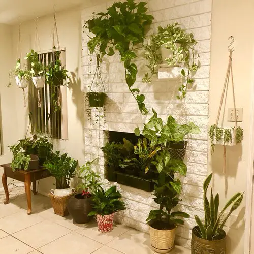 Hanging Pots Garden