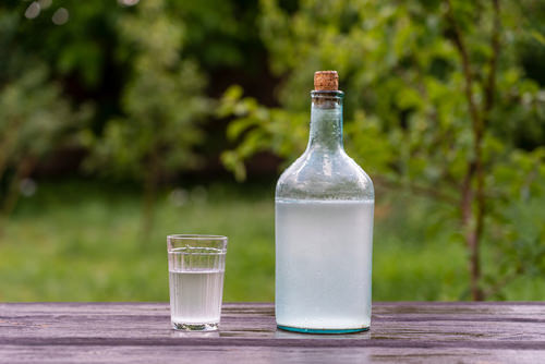 Use This Vodka Hack to Germinate Seeds &