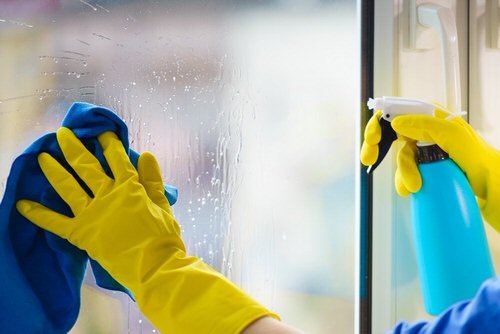 Soap Uses in Home and Garden 2