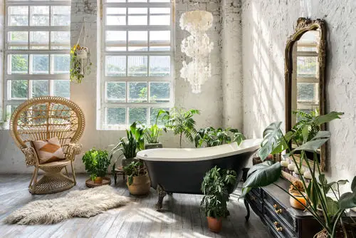 A Tub in a Vintage Setting with Plants