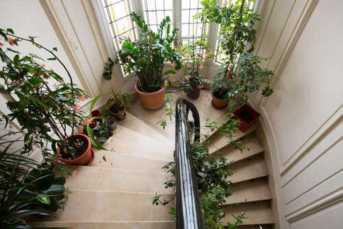 Wooden Stairs by an Open Garden