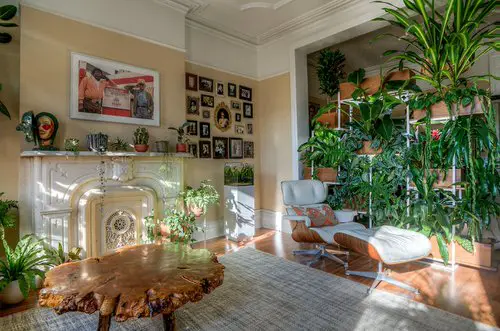 Vertical Garden in a Living Room