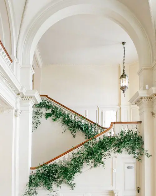 Trailing Plants on Stair's Railing