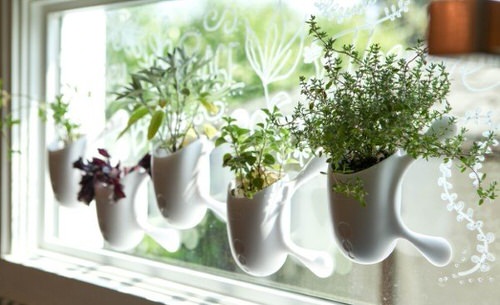 Grow Herbs in Ready Made Kit