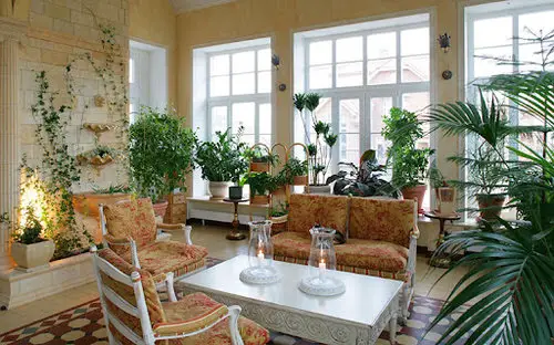 A Lavish Living Room with Plants