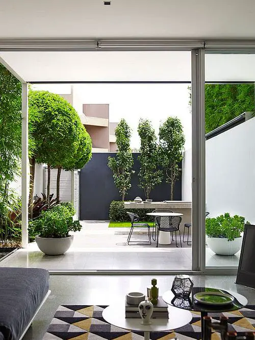 Modern Urban Indoor Landscape