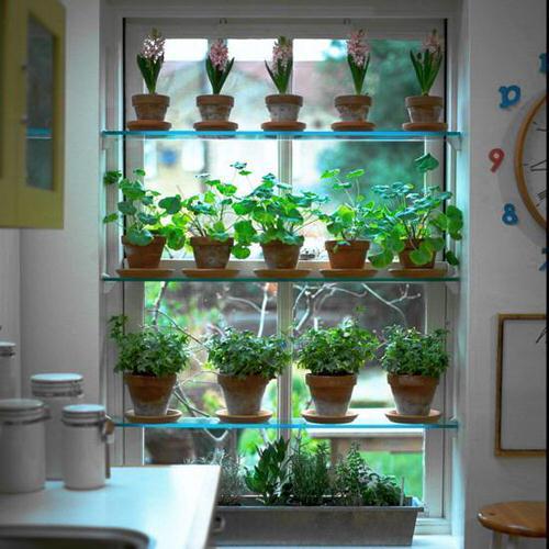Glass Shelves on Window