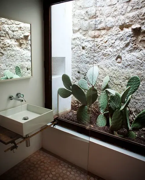 Bathroom Design Ideas with Plants Cacti Bathroom