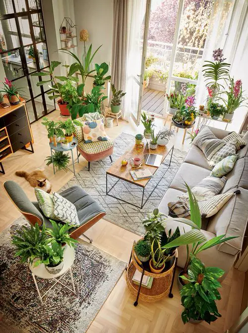Indoor Urban Garden