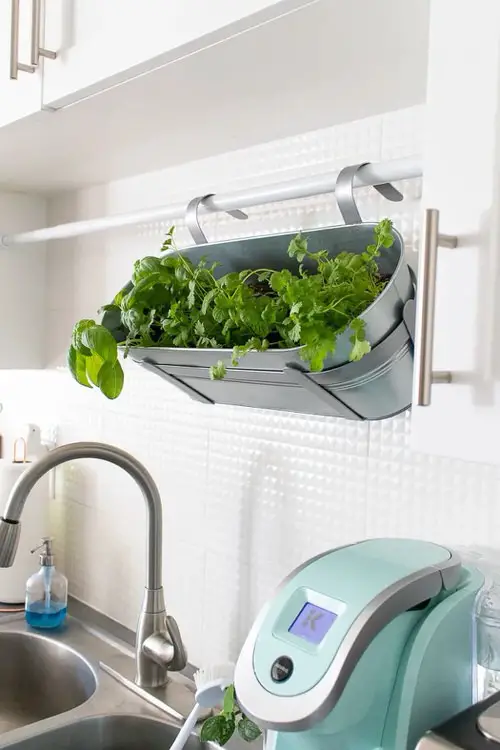 Space-Saving Herb Garden