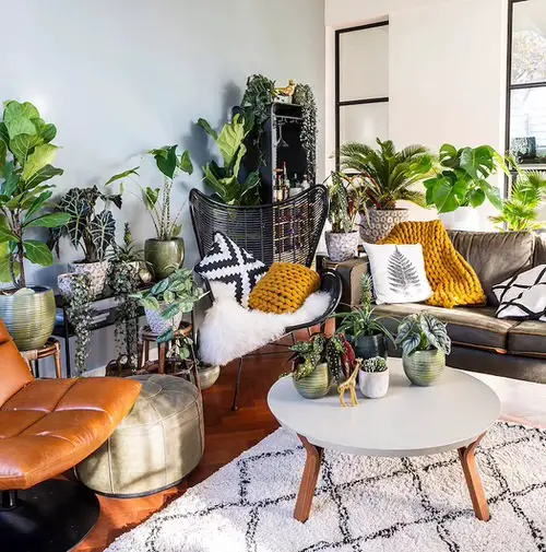 Coffee Spot in Home Ideas with Plants 12
