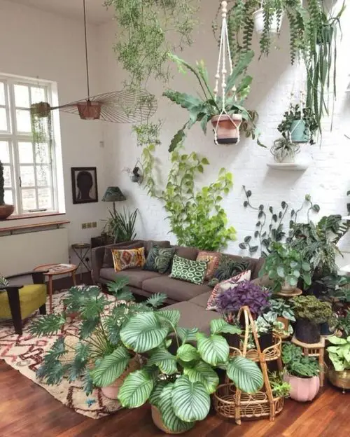 An Indoor Jungle