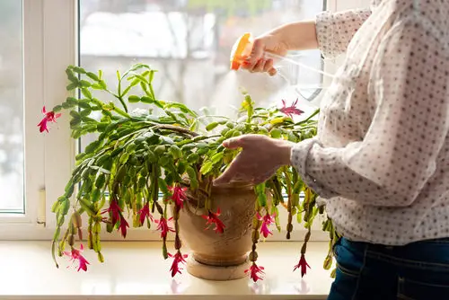 Take Care of Its Watering Needs