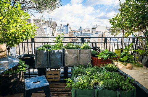 Design Tricks for Balcony Garden 14