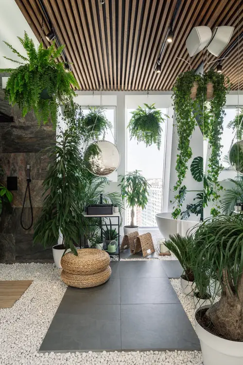 Hanging Ferns with Other Plants in a Lavish Bathroom
