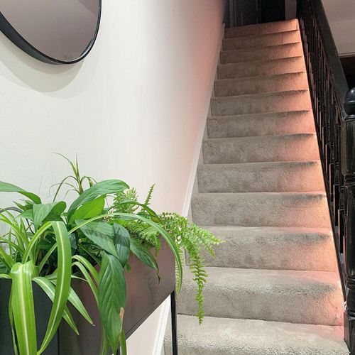Narrow Stairs with Potted Plant