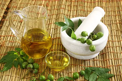 Diy Neem Oil Leaf Shine