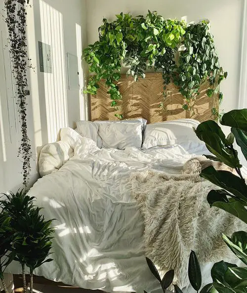 Queen Sized Bed with Plants