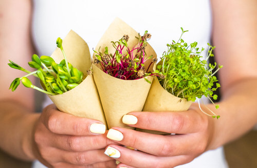 How to earn from garden? 5