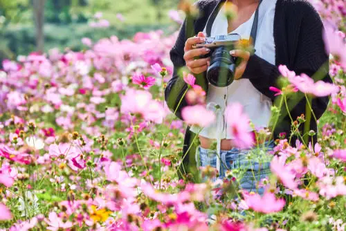 Ideas to Make Money from Gardening 10