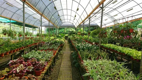 Ideas to Make Money from Gardening 11