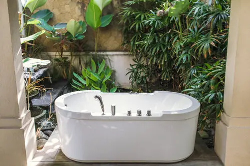 A Mini Jungle Behind a Tub